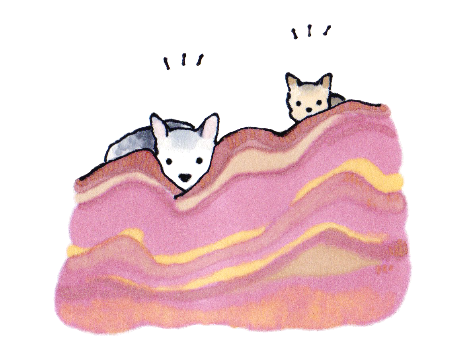 1 빼꼼연하게.png