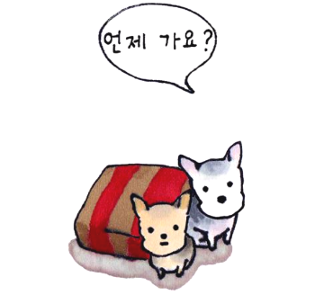 =언제가요 웹.png