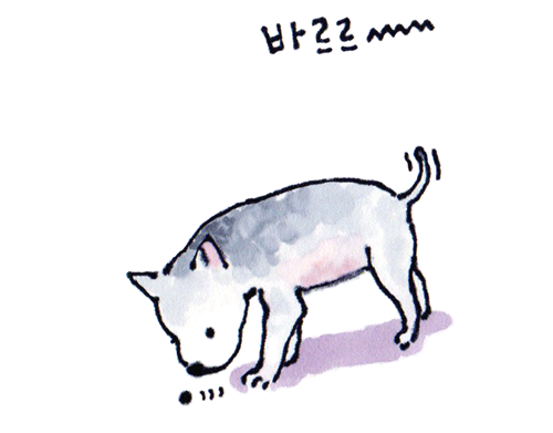 1 벌레다.png