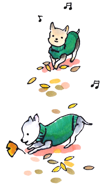 0 낙엽과 대화 웹.png