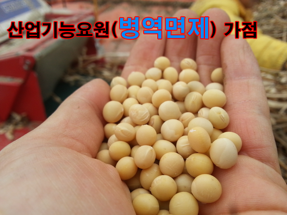 2-산업기능요원(군면제) 가점 부여 복사.png