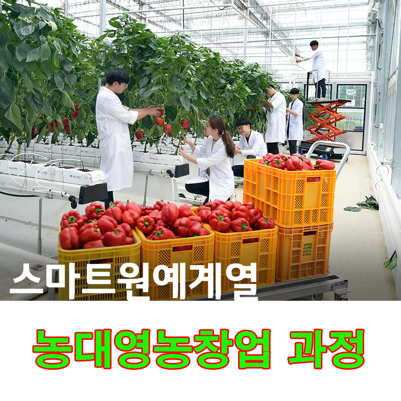 15-연암대_수시_2017_15 복사.png