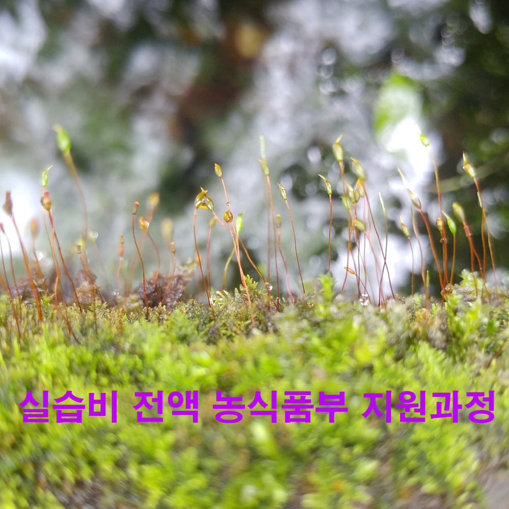 10-실습비 전액 농식품부 지원과정 복사.png