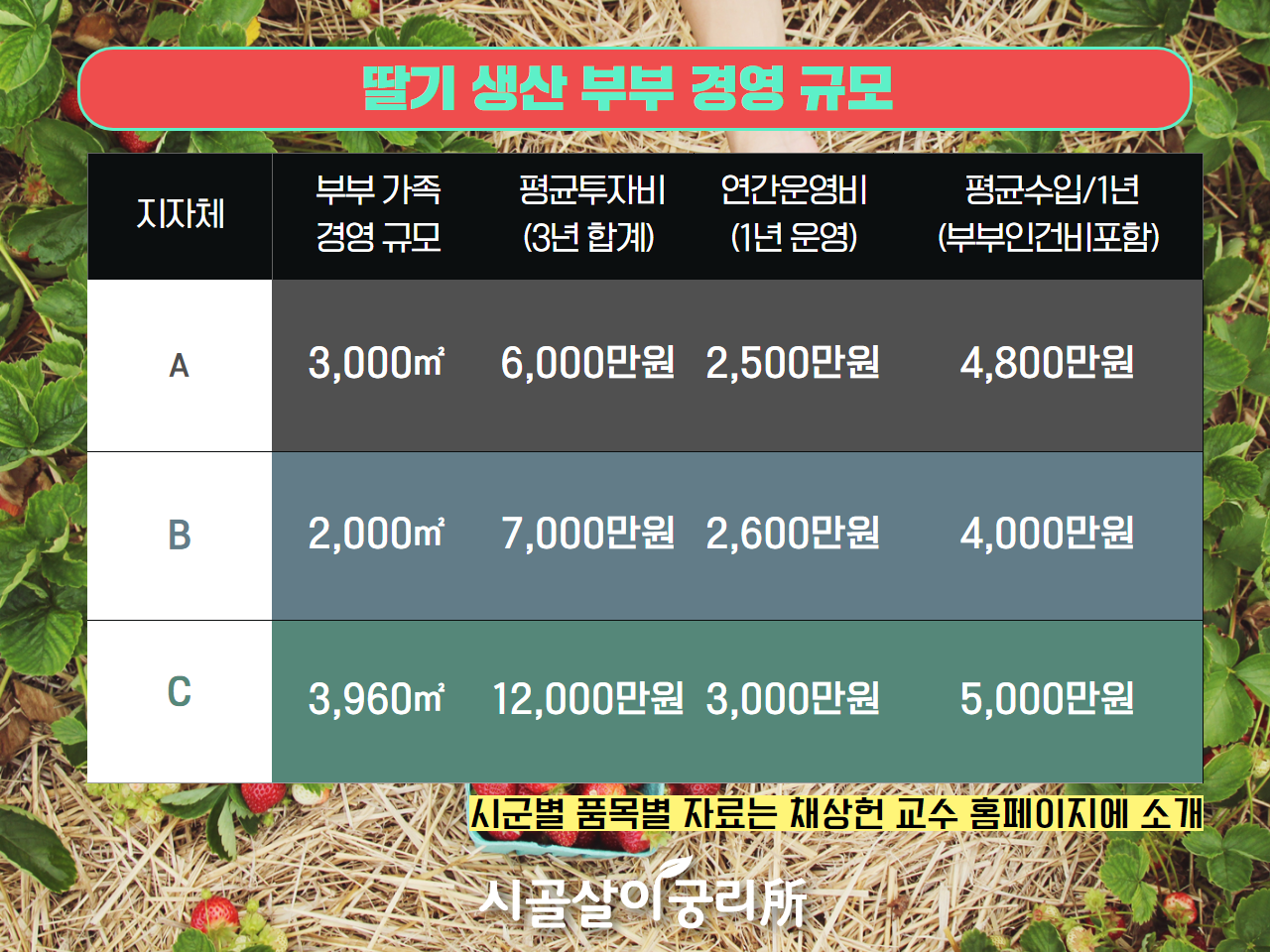 딸기 경영규모.png