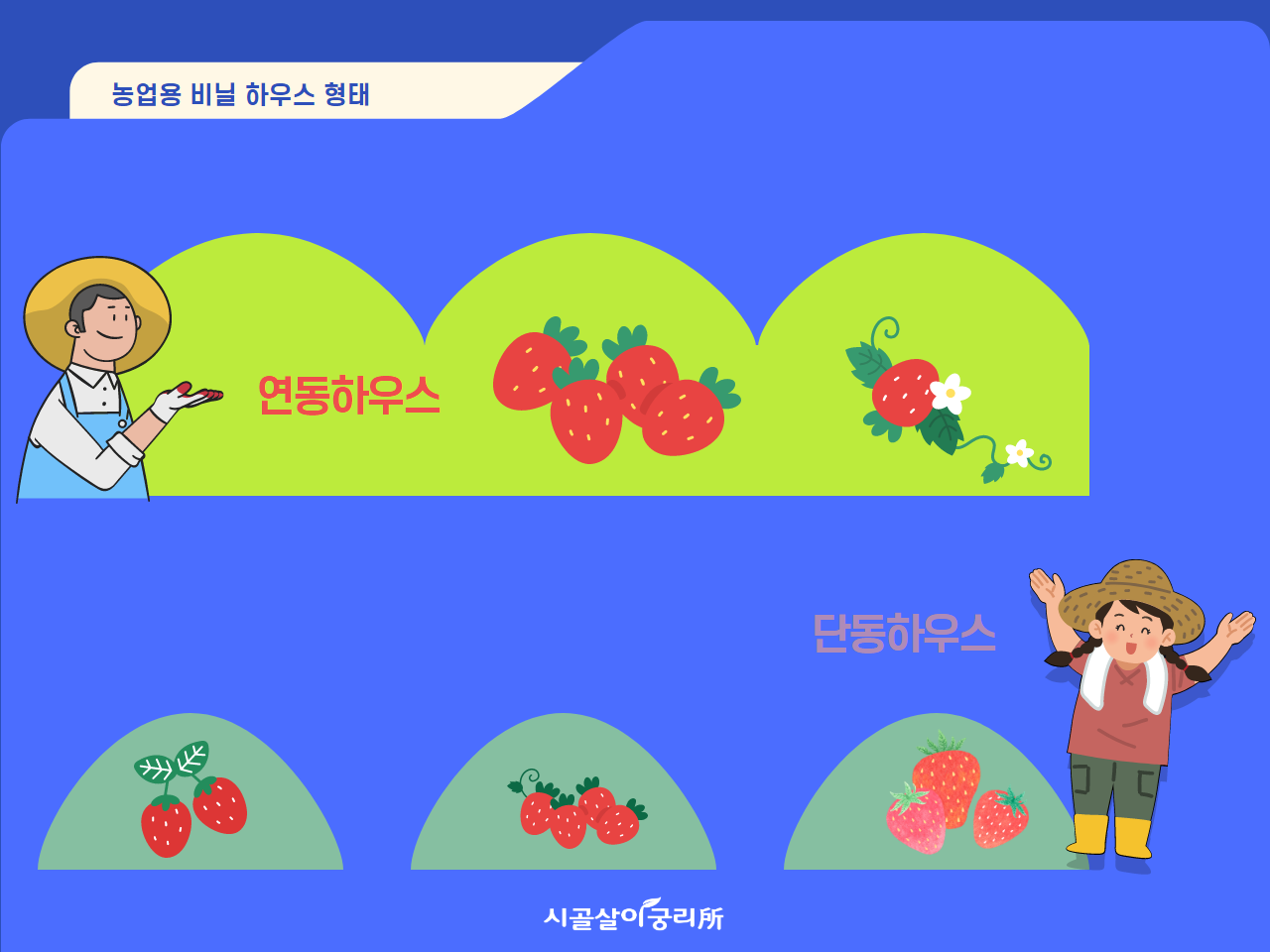 연동하우스 단동하우스.png