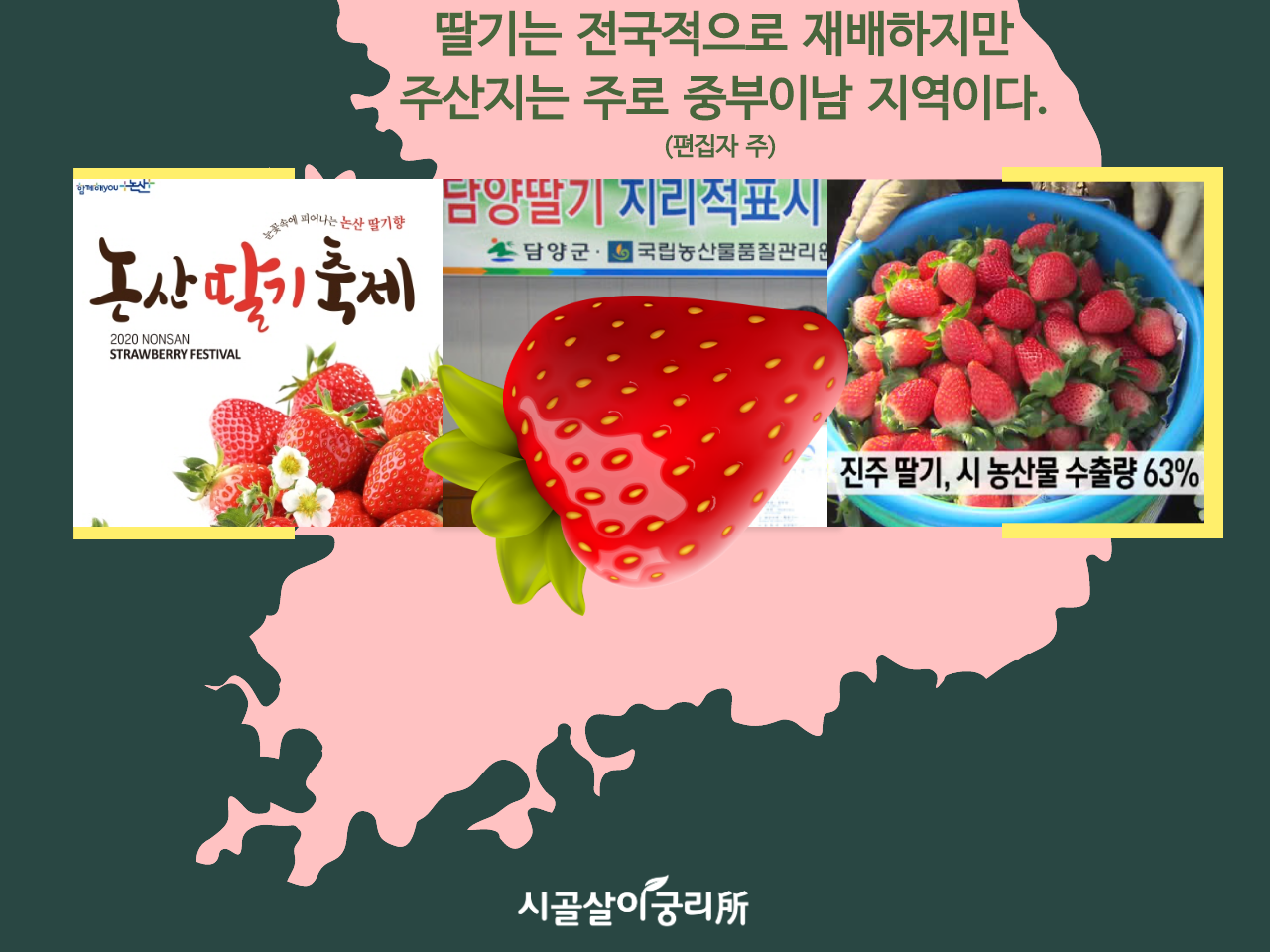 연동하우스 단동하우스-3.png