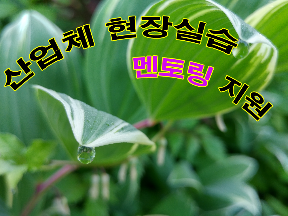 5-산업체 현장실습 멘토링 지원 복사.png