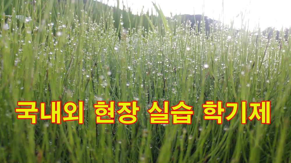 6-국내외 현장 실습 학기제 복사.png