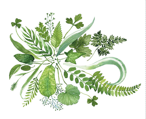 법륜스님 즉문즉설 입춘.png