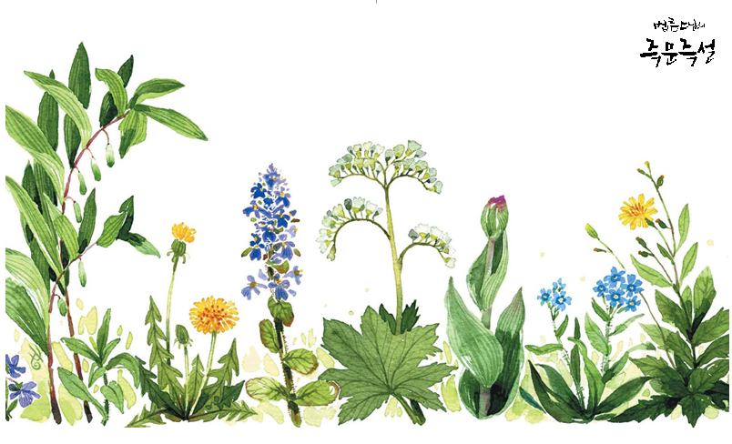 날마다 새날.png