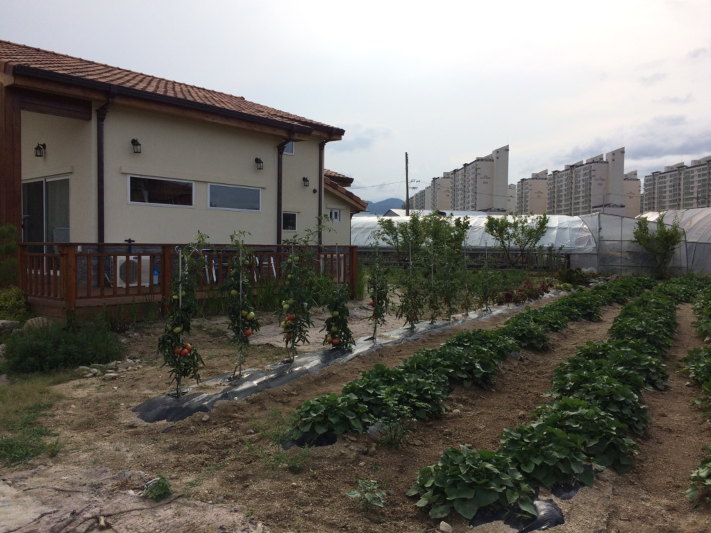 다운로드 (4).png