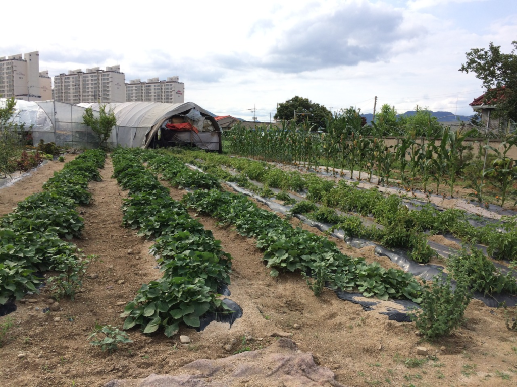 다운로드 (3).png