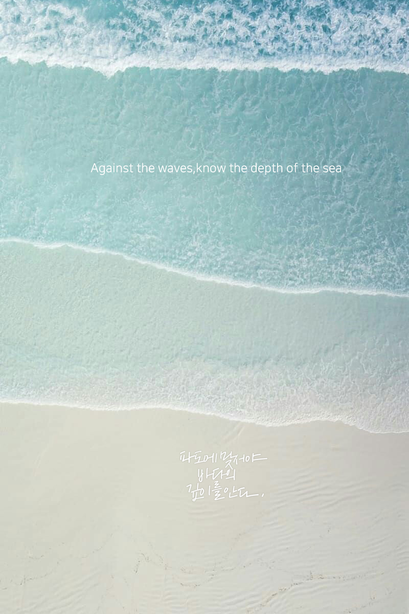 08e073a91433365f86c2cac626e165bd 복사.png