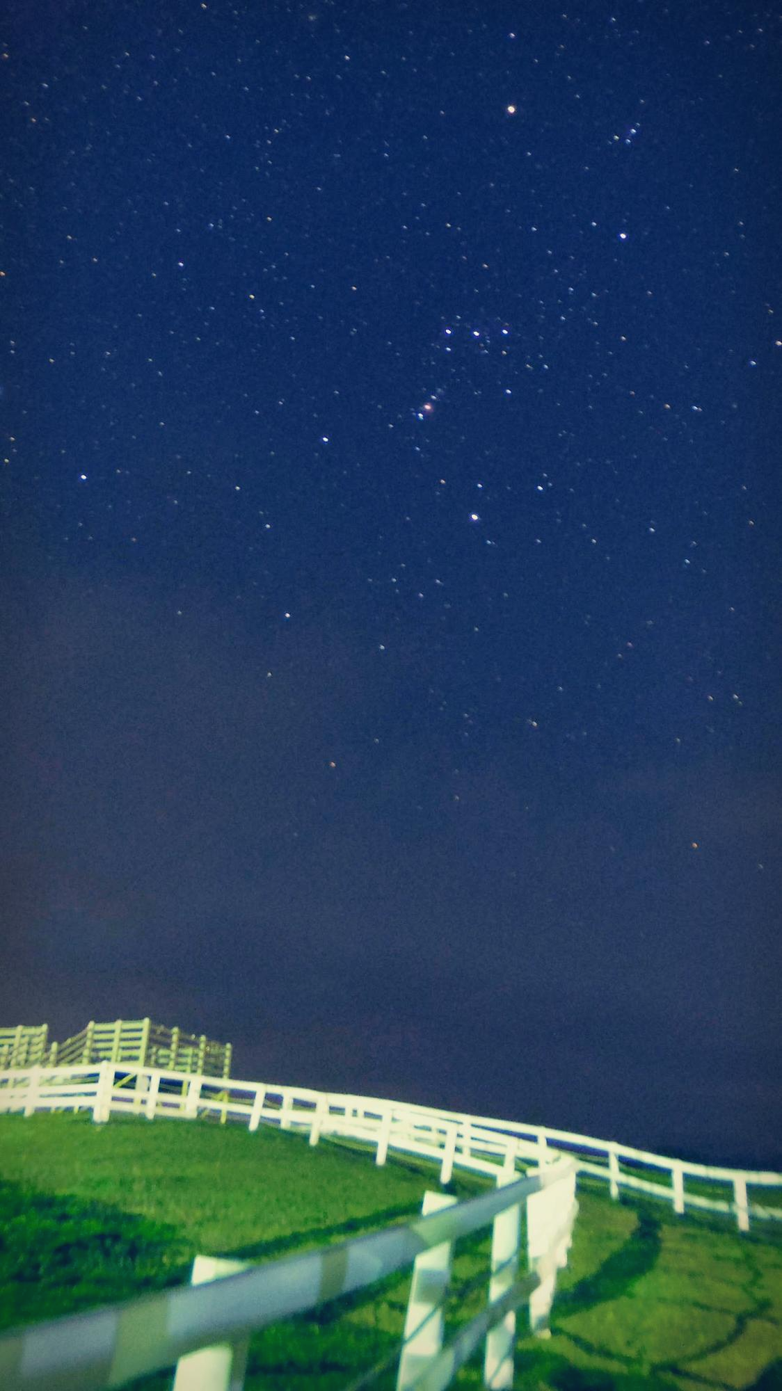 다운로드 (1).png