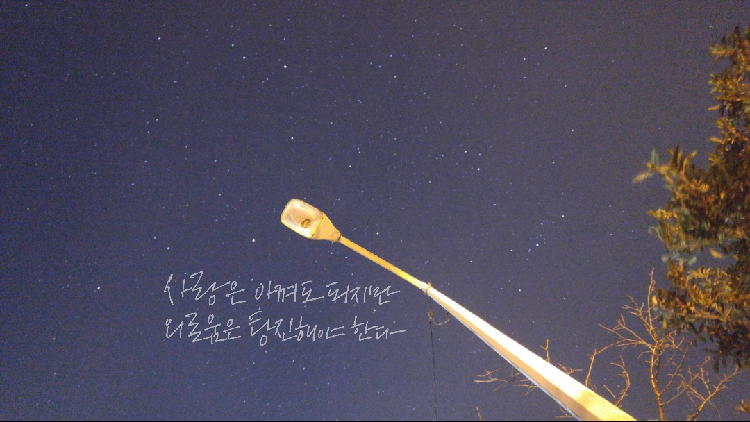 다운로드 (4).png