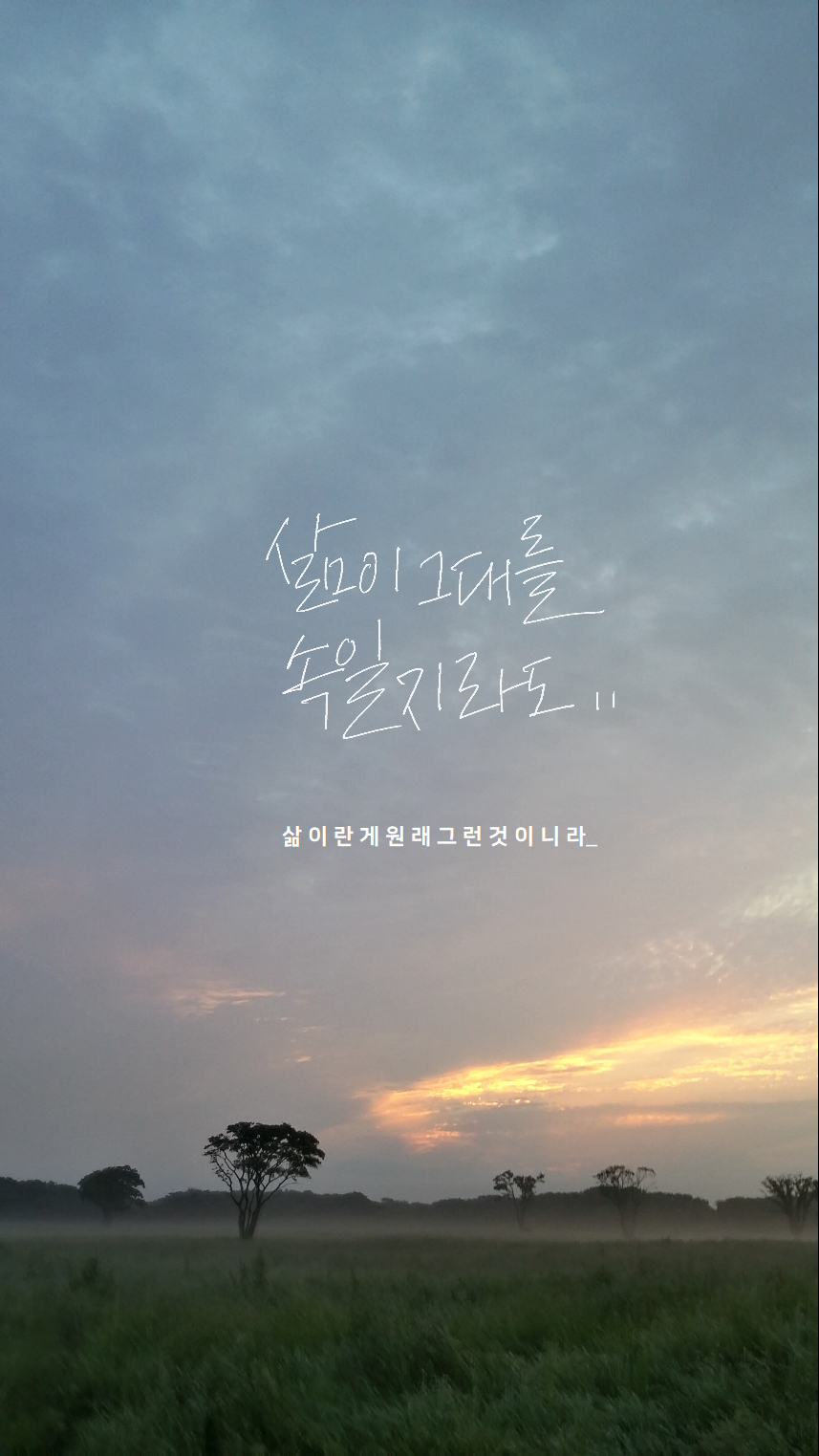 다운로드 (6).png