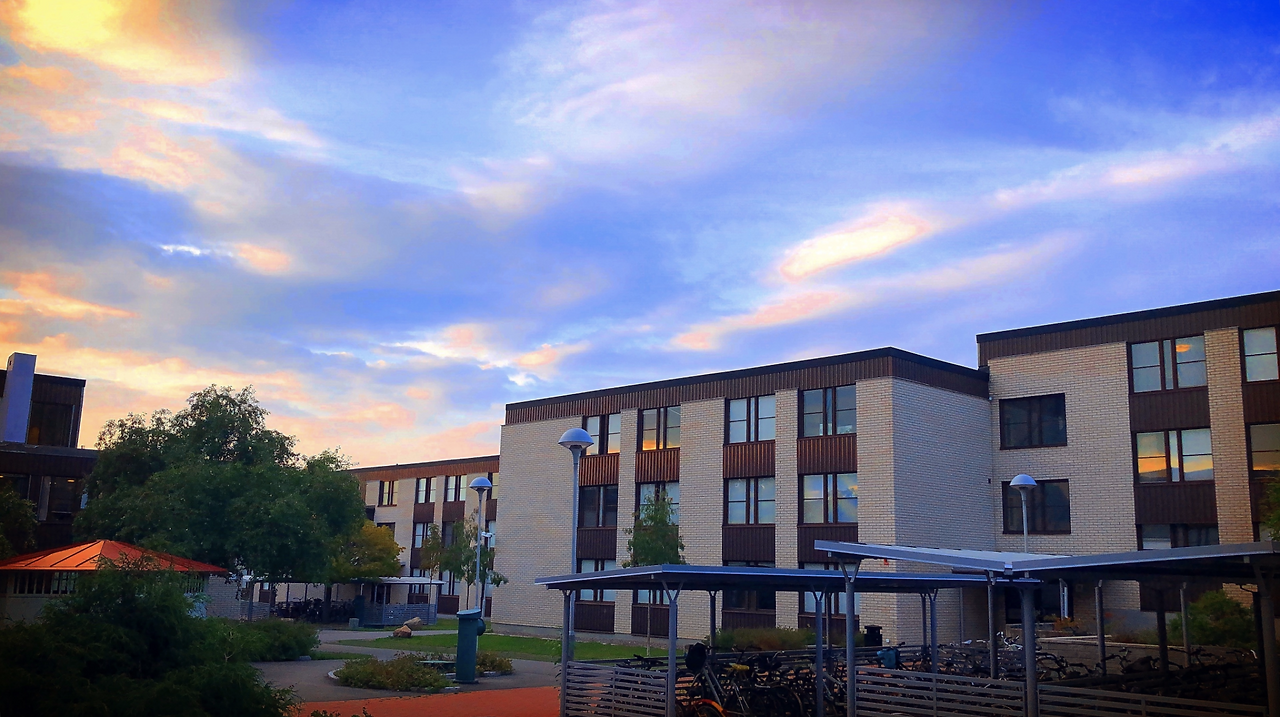 Screen Shot 2020-03-19 at 10.25.06 AM.png