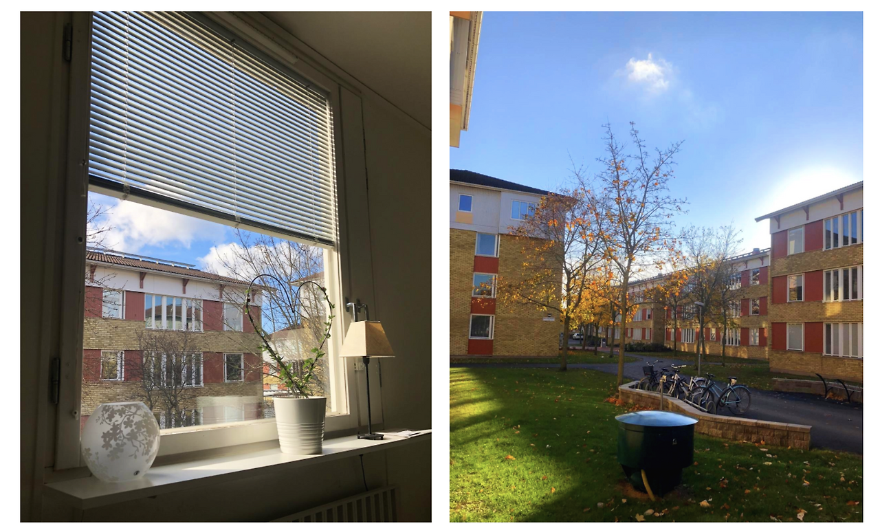 Screen Shot 2020-03-19 at 10.24.53 AM.png