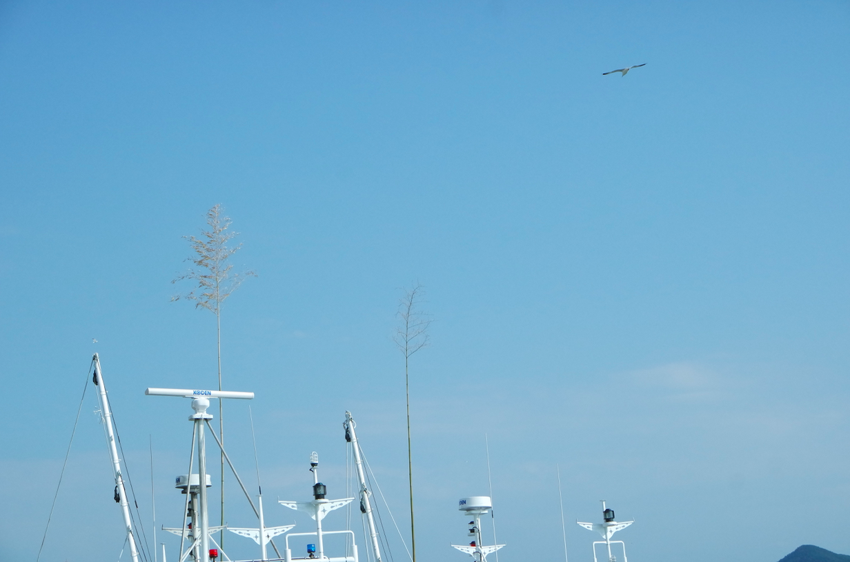 스크린샷 2016-01-12 오후 10.48.09.png