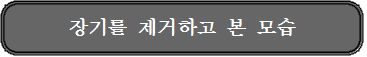 장기를제거하고 본모습.png
