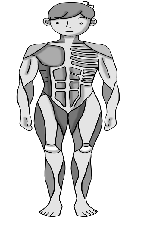인체모형01.png
