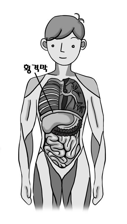 폐를 제거하고 본 모습01.png