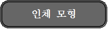 인체모형.png