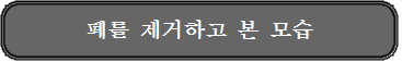 폐를 제거하고 본 모습.png