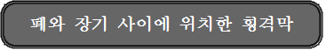 폐와장기사이에위치한횡격막.png