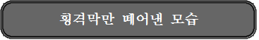 횡격막만떼어낸모습.png