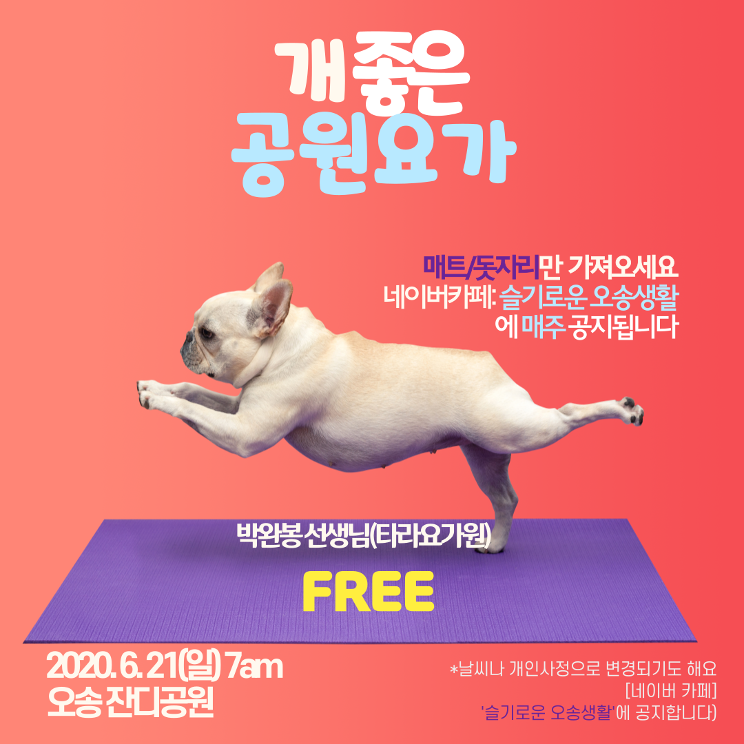 2020_6_개좋은공원요가.png