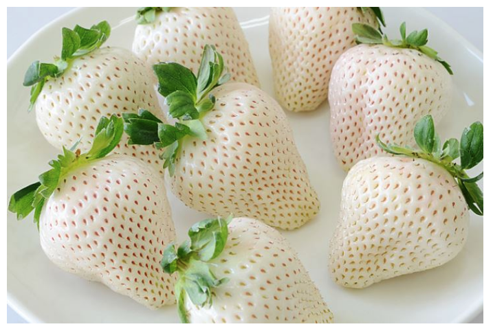 흰 딸기.png