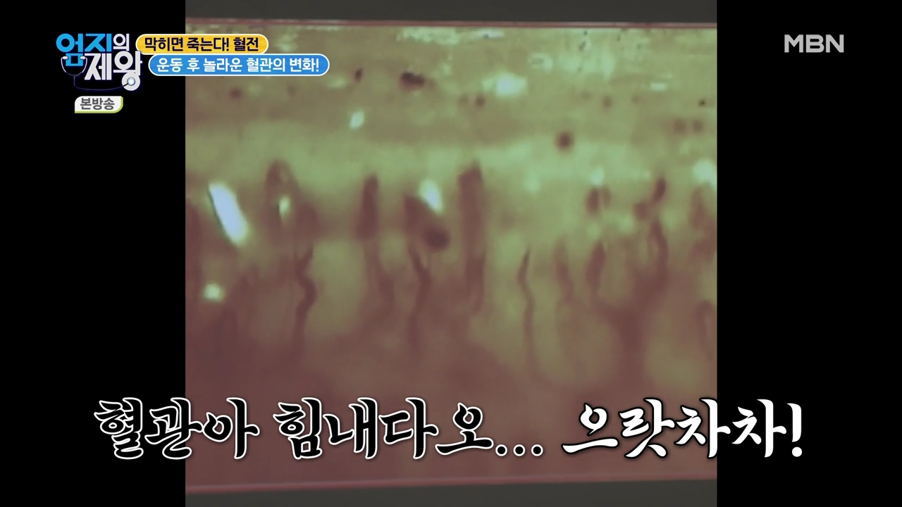 엄지의 제왕 415회 혈전편 본방영상.mp4_002883881.png