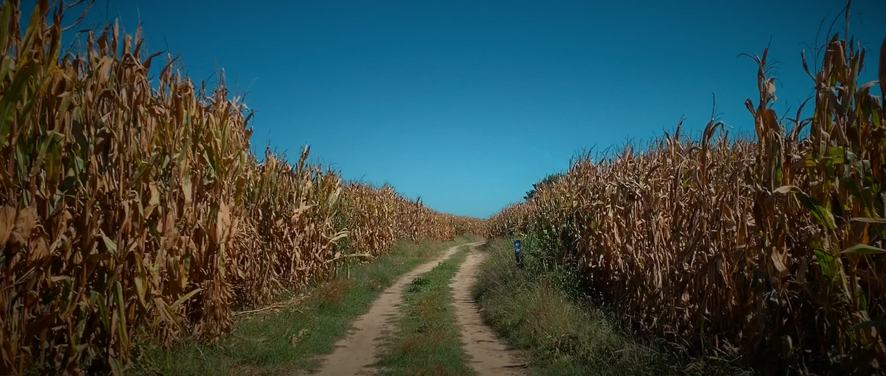 스크린샷 2023-03-23 오전 9.03.54.png