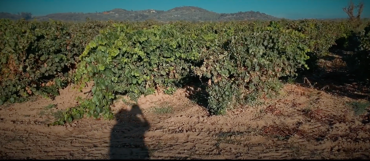 스크린샷 2023-03-23 오전 8.58.28.png