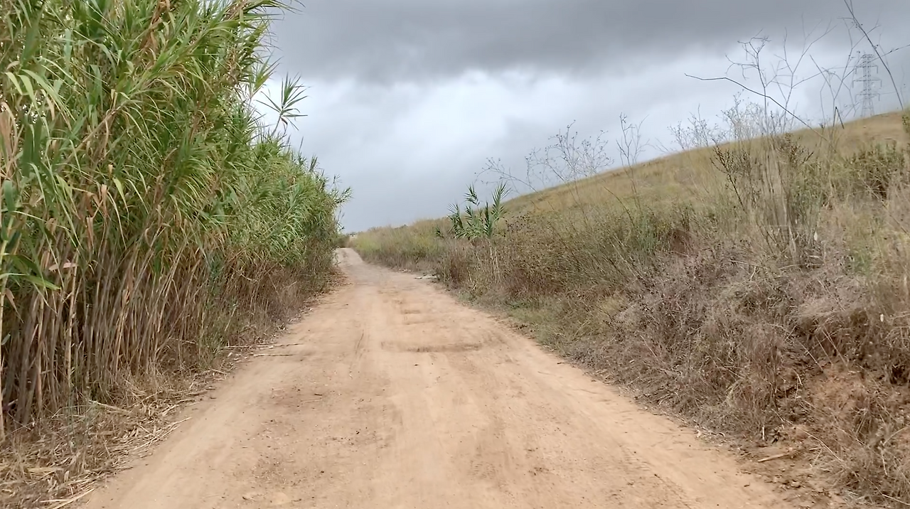 스크린샷 2023-02-28 오후 5.04.41.png