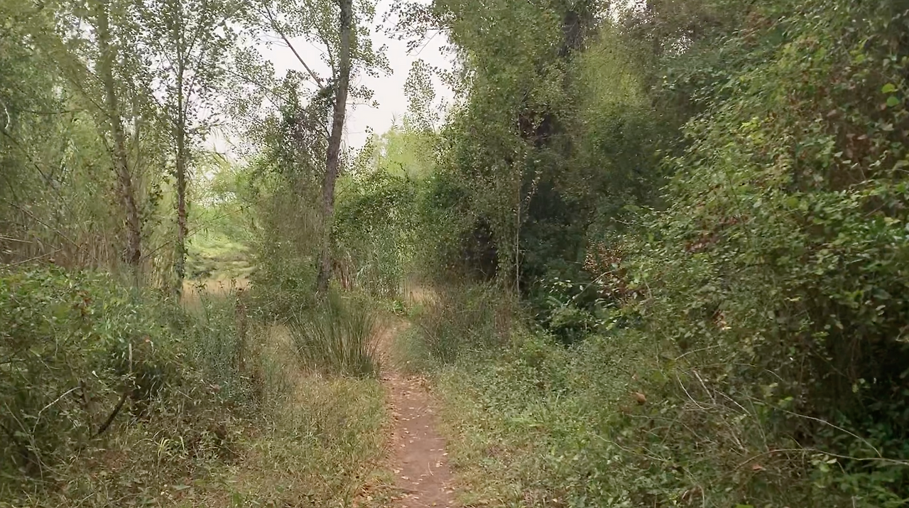 스크린샷 2023-04-30 오후 1.23.13.png