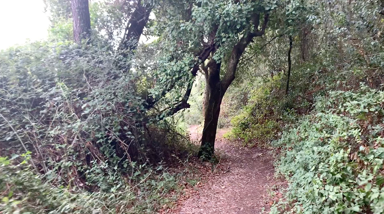 스크린샷 2023-04-30 오후 1.22.53.png