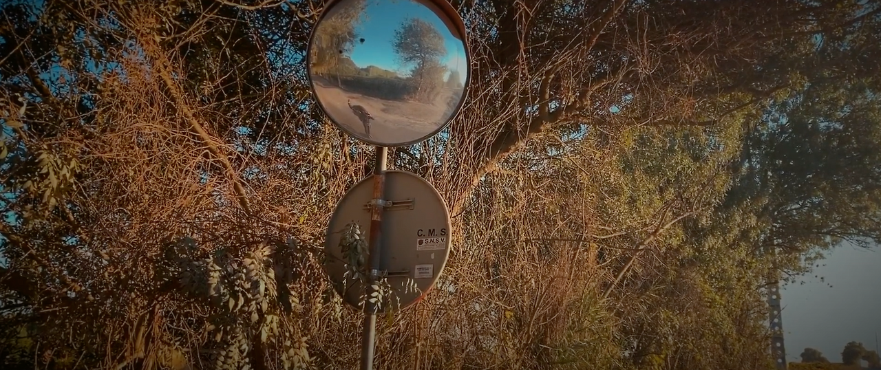 스크린샷 2023-03-23 오전 8.59.27.png