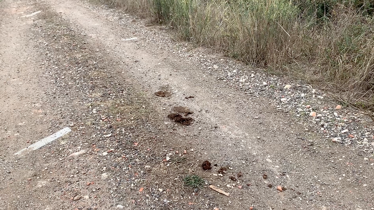 스크린샷 2023-02-28 오후 5.04.53.png