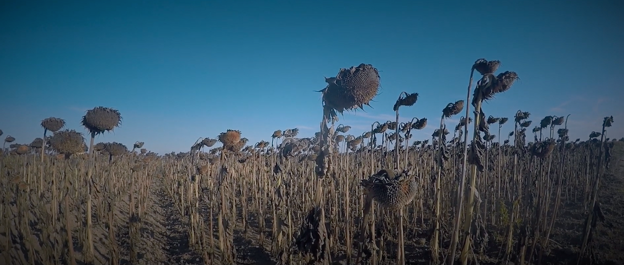 스크린샷 2023-03-23 오전 8.58.43.png