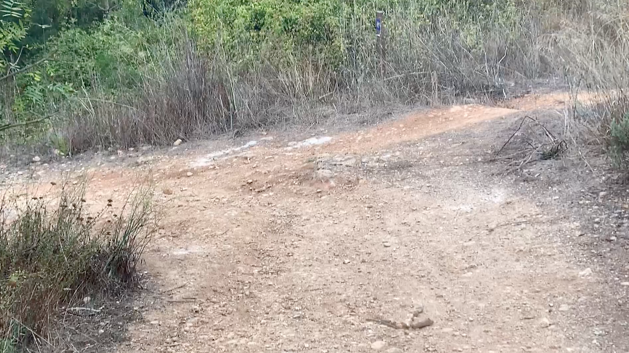 스크린샷 2023-04-30 오후 1.24.17.png