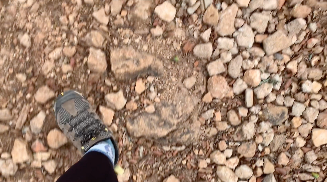 스크린샷 2023-04-30 오후 1.24.39.png