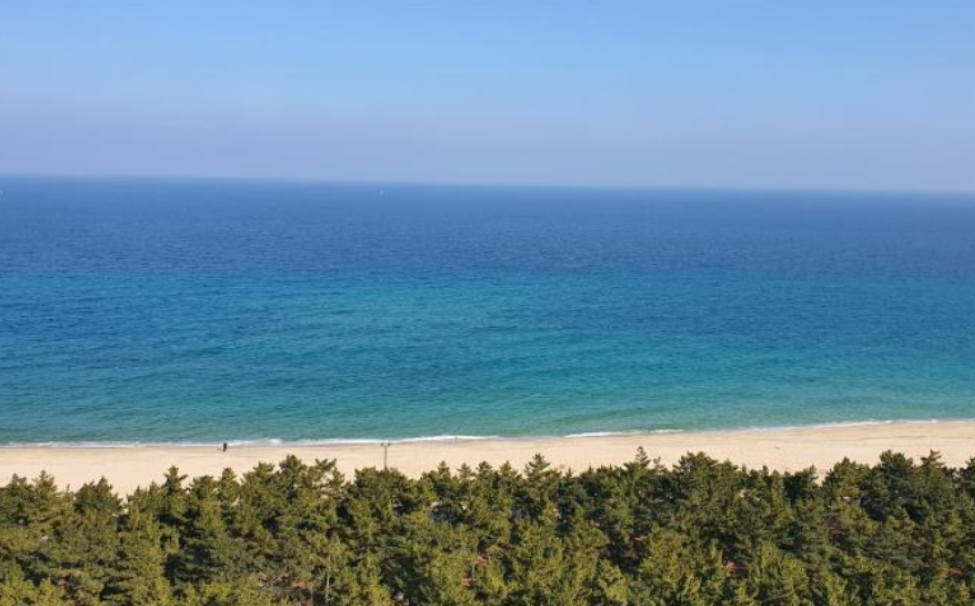 강릉호텔 리조트 추천 7.png