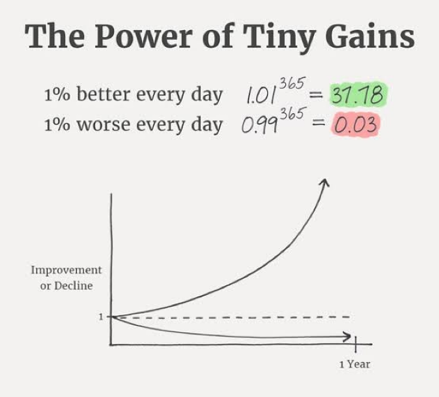 tidy-gains.png