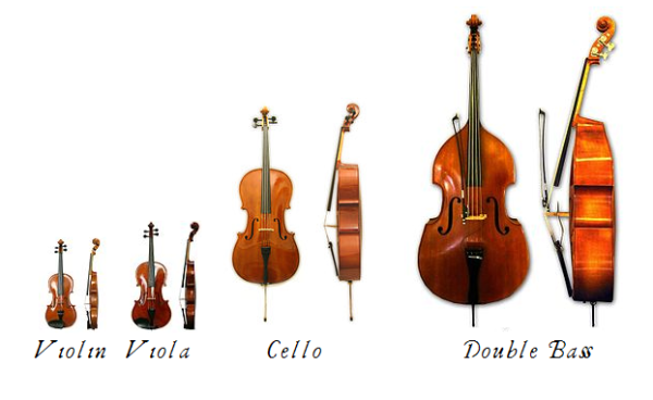 현악기.png