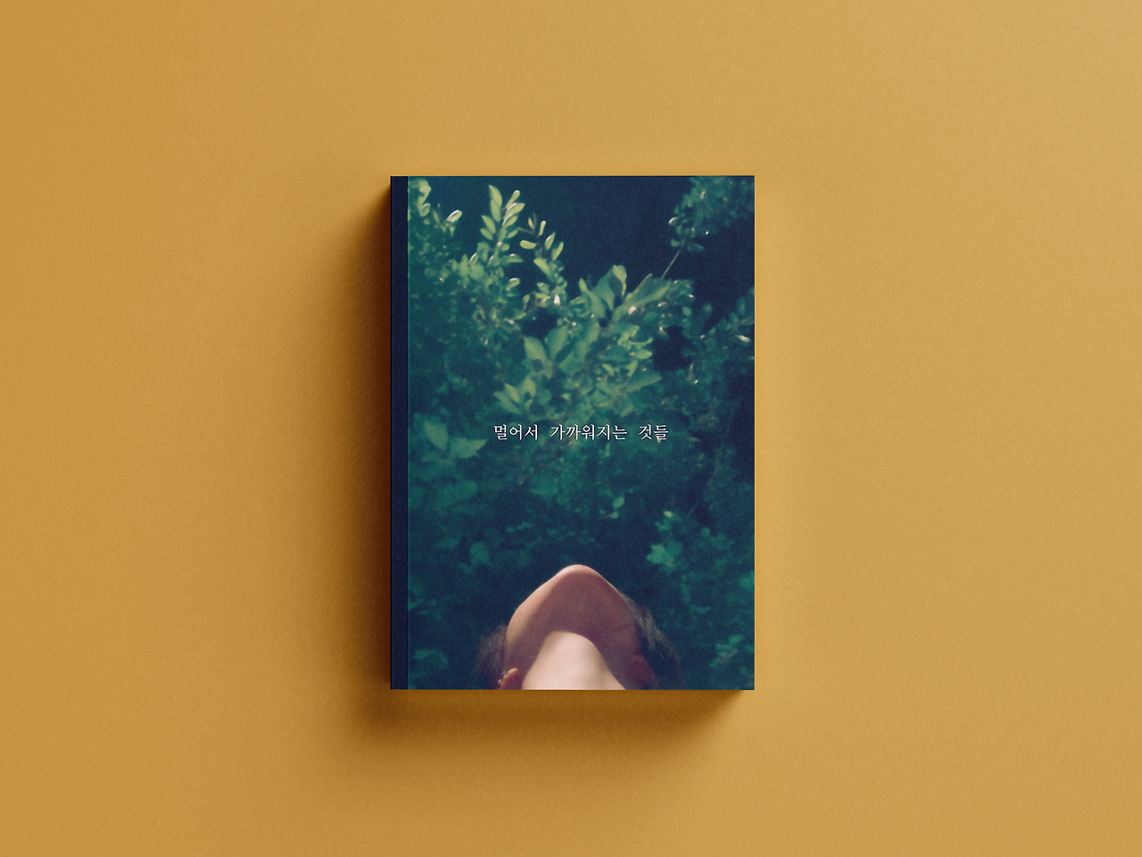 멀어서가까워지는 것들.png