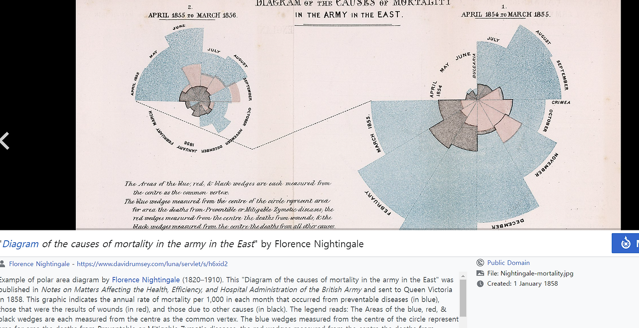 스크린샷 2023-05-21 235655.png-나이팅게일.png