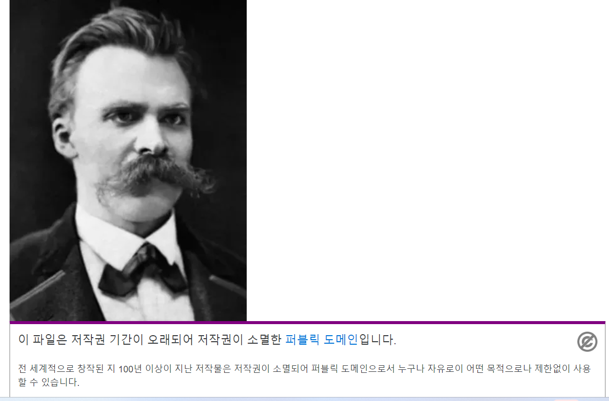 스크린샷 2023-08-02 111458-니체.png