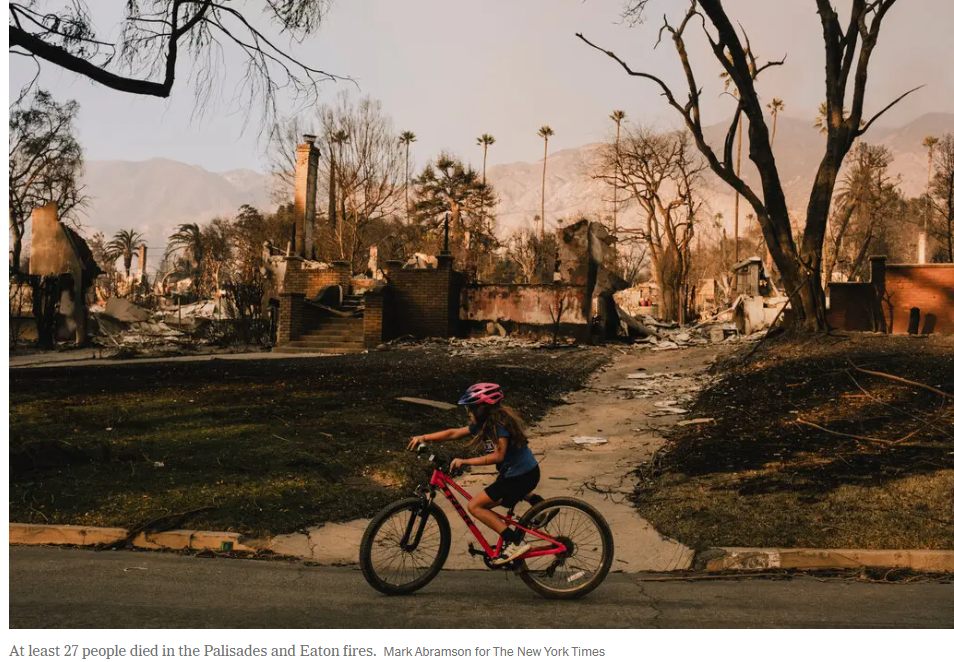 스크린샷 2025-01-22 115631.png